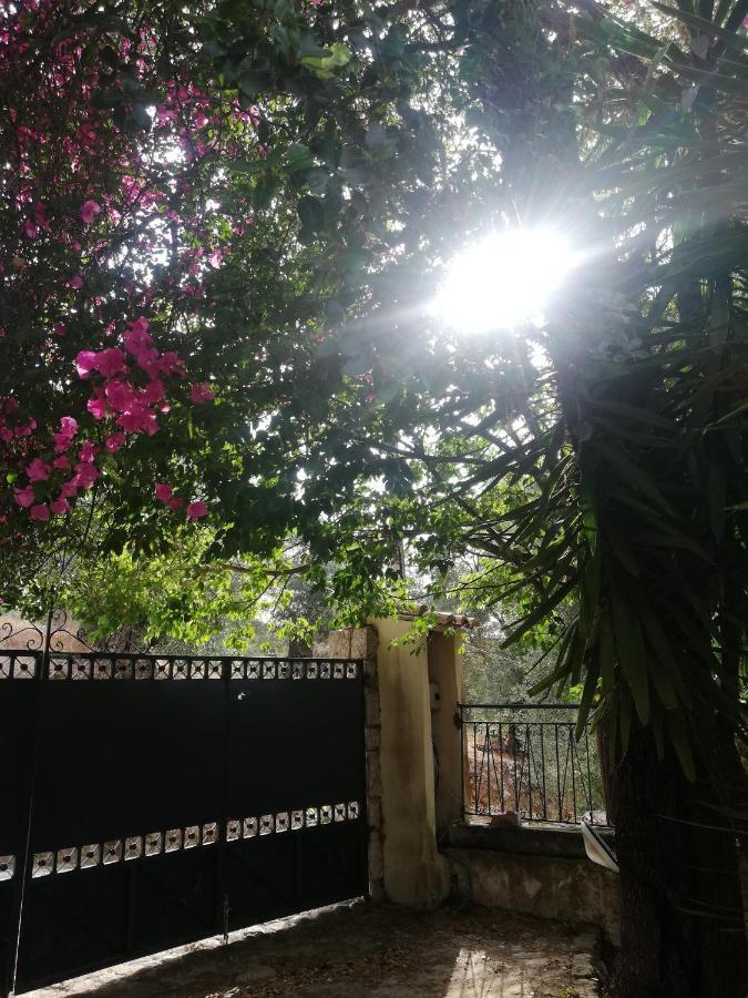 Olea Home Agia Pelagia Chlomou Bagian luar foto
