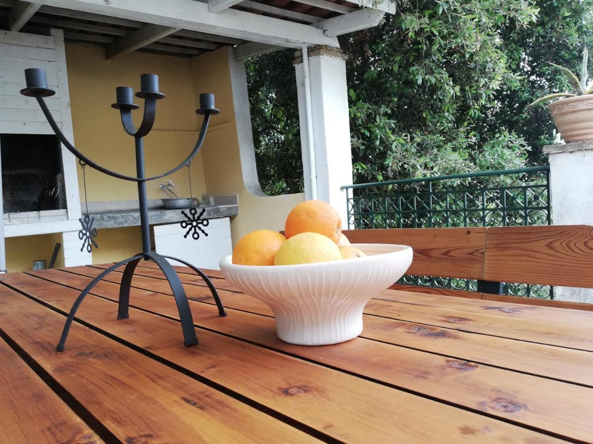 Olea Home Agia Pelagia Chlomou Bagian luar foto