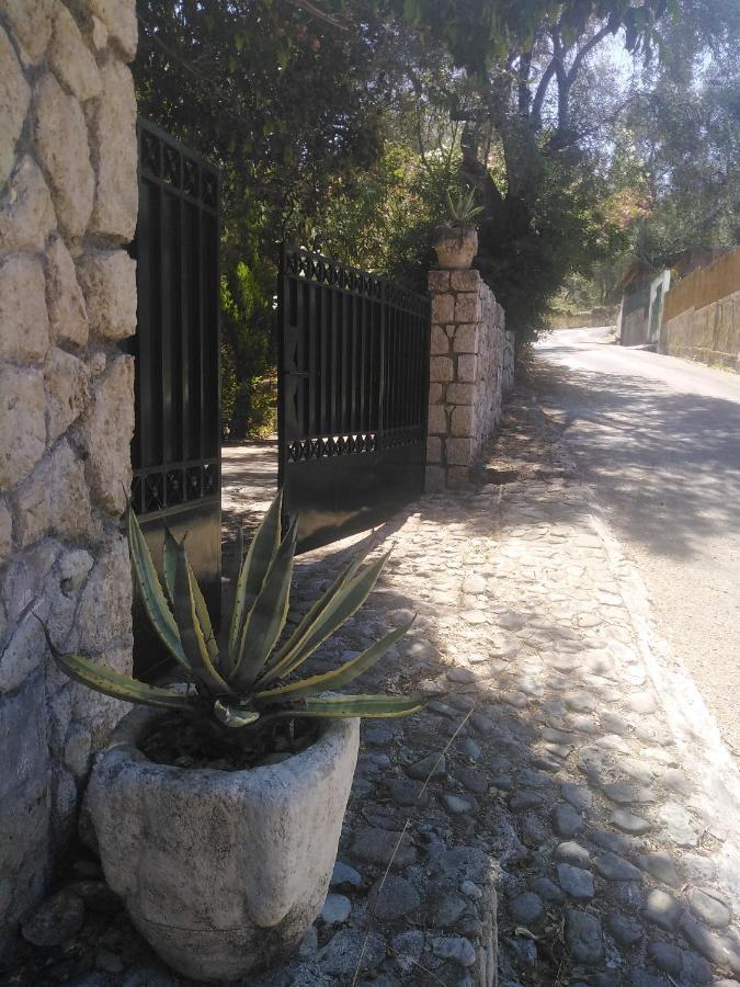 Olea Home Agia Pelagia Chlomou Bagian luar foto