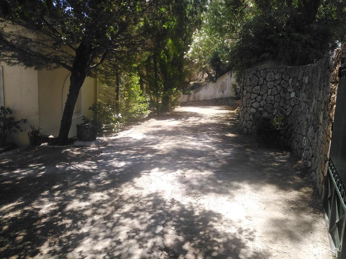 Olea Home Agia Pelagia Chlomou Bagian luar foto